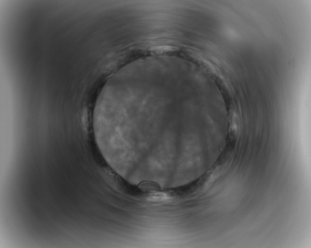 X0000094790519200711301609