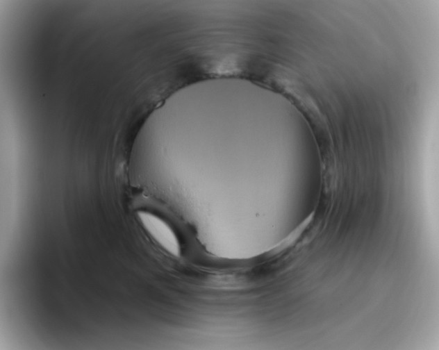 X0000094790521200711301609