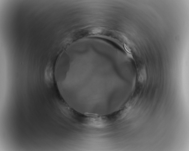 X0000094790524200711301609