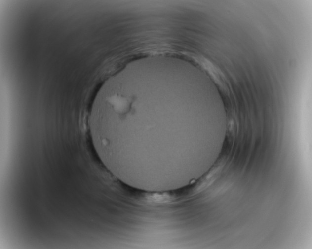 X0000094790525200711301609