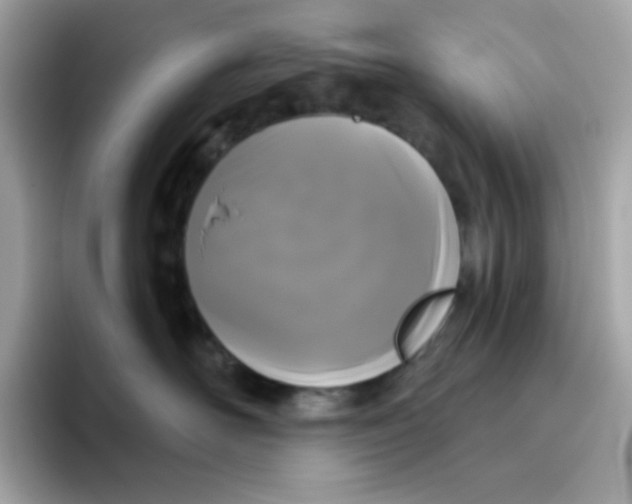 X0000094790526200711301609