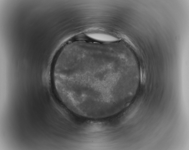 X0000094790531200711301608