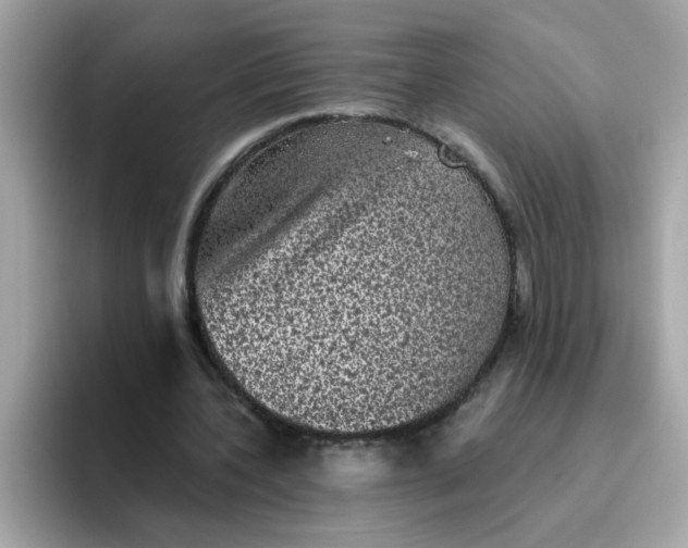 X0000094790532200711301608