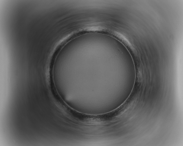 X0000094790535200711301608