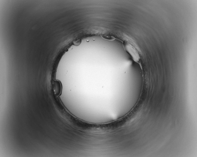 X0000094790538200711301608