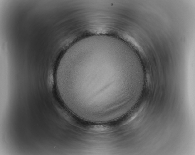 X0000094790541200711301608