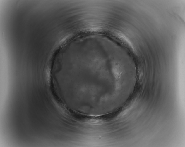 X0000094790542200711301608