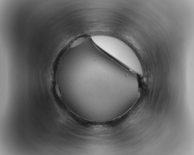 X0000094790544200711301608