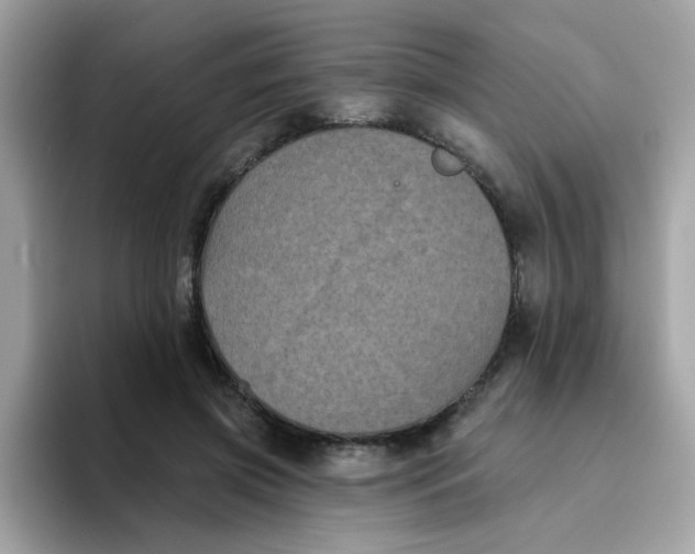 X0000094790549200711301608