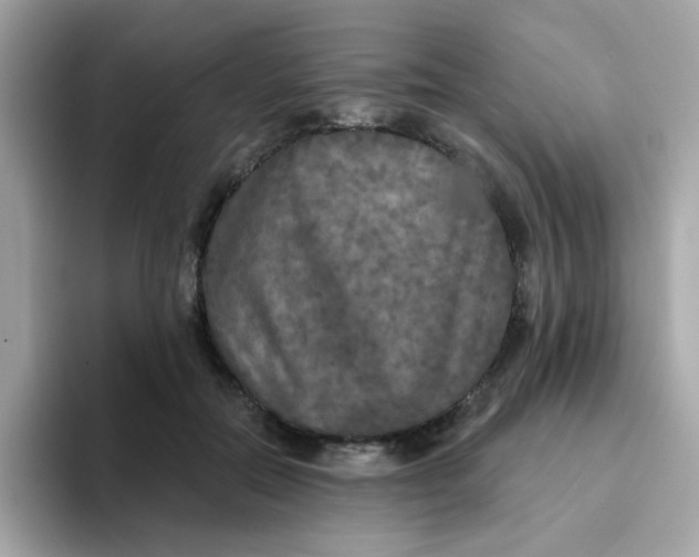 X0000094790554200711301608