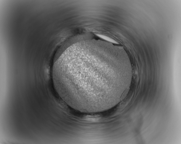 X0000094790556200711301608