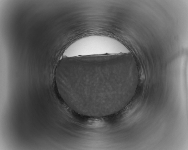 X0000094790559200711301608