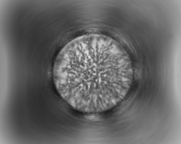 X0000094790561200711301608