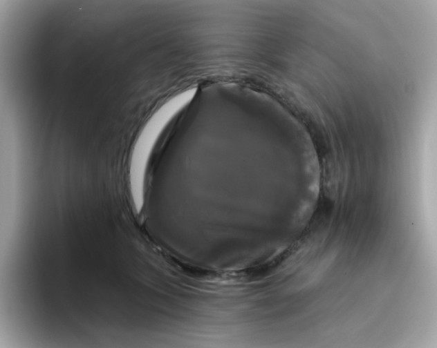 X0000094790563200711301608