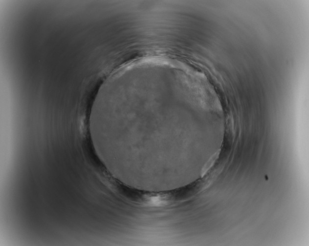 X0000094790564200711301608