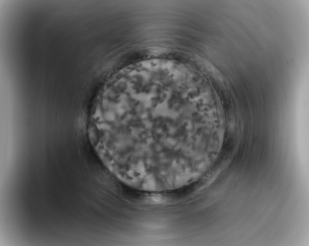 X0000094790565200711301608