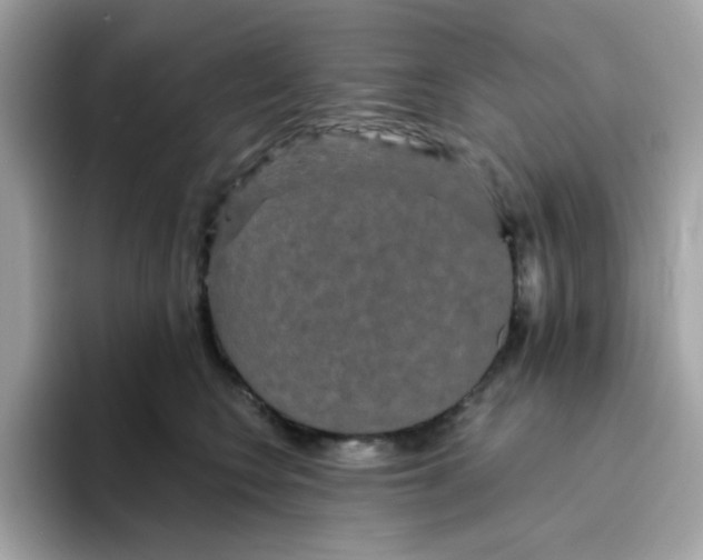 X0000094790566200711301608