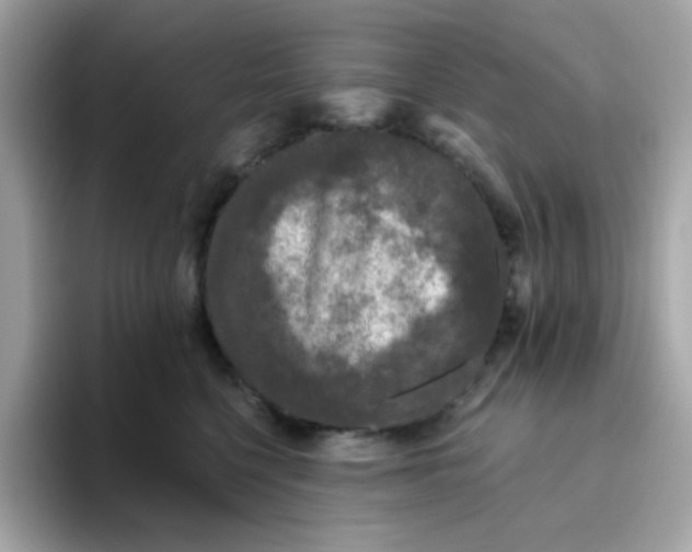 X0000094790568200711301608