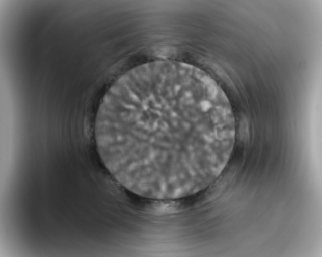 X0000094790569200711301608