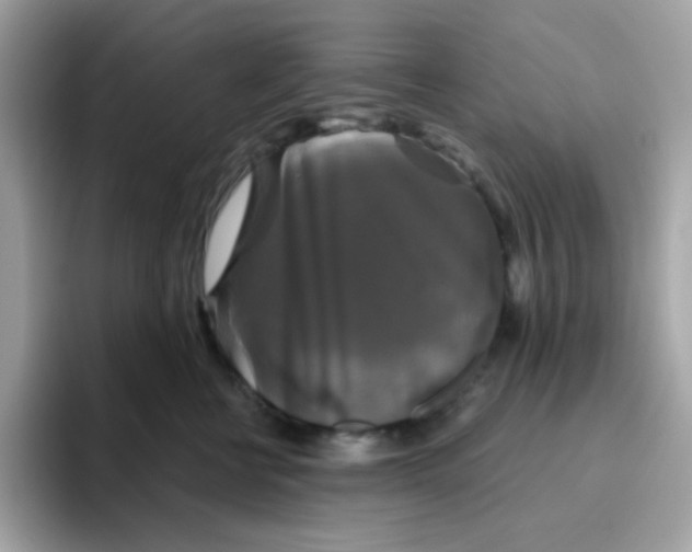 X0000094790570200711301608