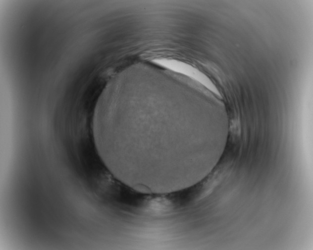 X0000094790572200711301608