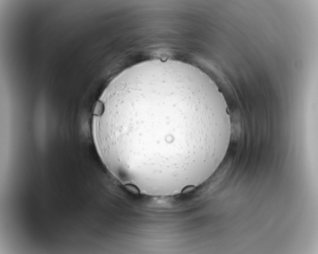 X0000094790573200711301608