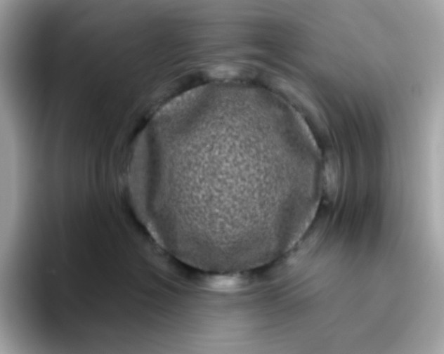 X0000094790574200711301609