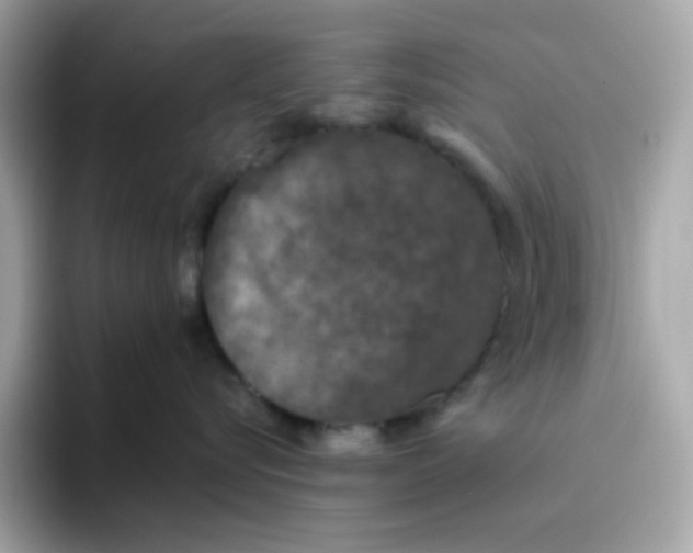 X0000094790576200711301609