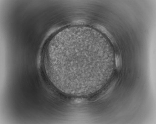 X0000094790579200711301608