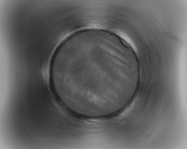 X0000094790580200711301608