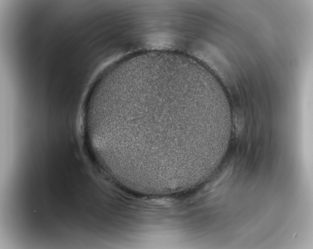 X0000094790583200711301608