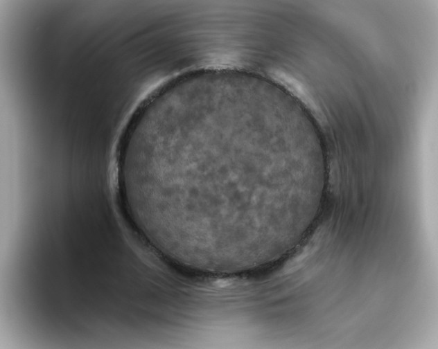 X0000094790584200711301608