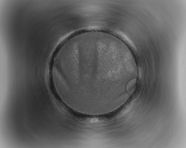 X0000094790588200711301608