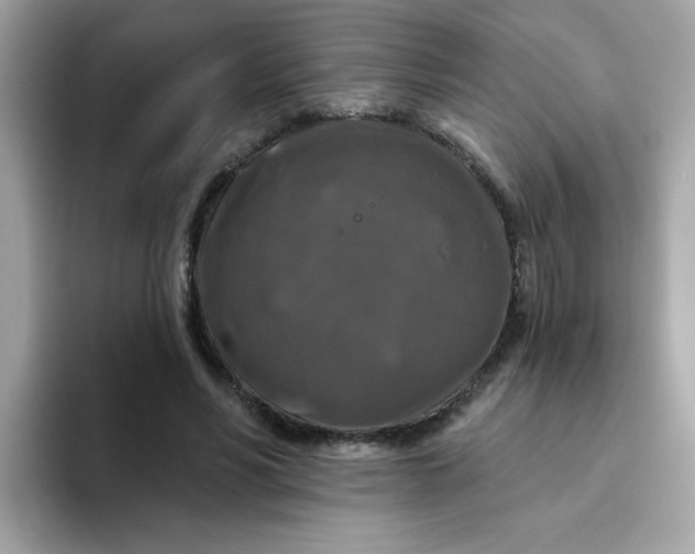 X0000094790590200711301608