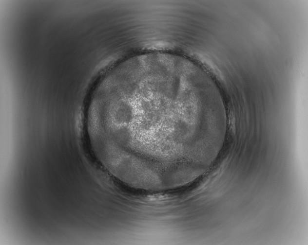 X0000094790591200711301608