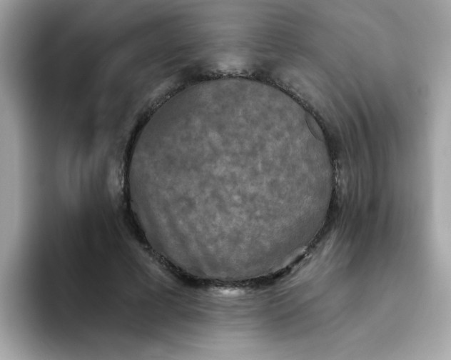 X0000094790593200711301608