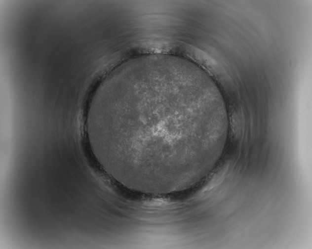 X0000094790594200711301608