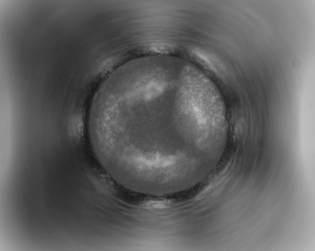 X0000094790595200711301608