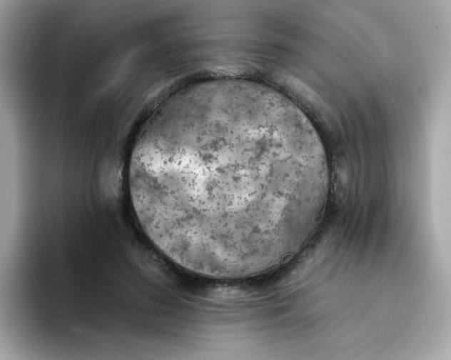 X0000094790596200711301608