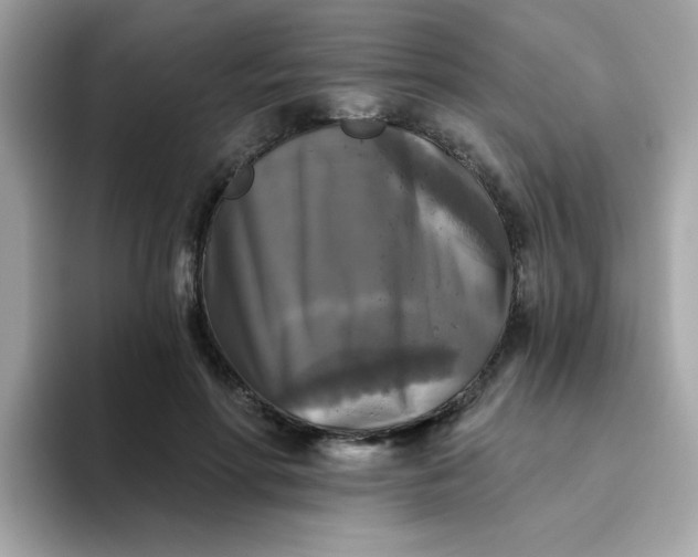 X0000094790598200711301608