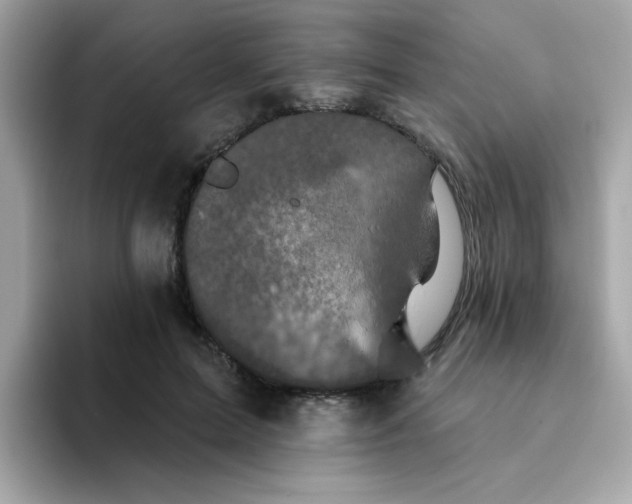 X0000094790599200711301608