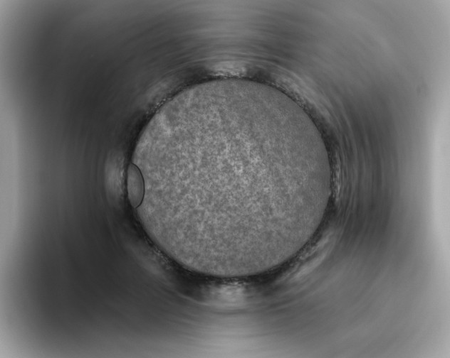 X0000094790600200711301608