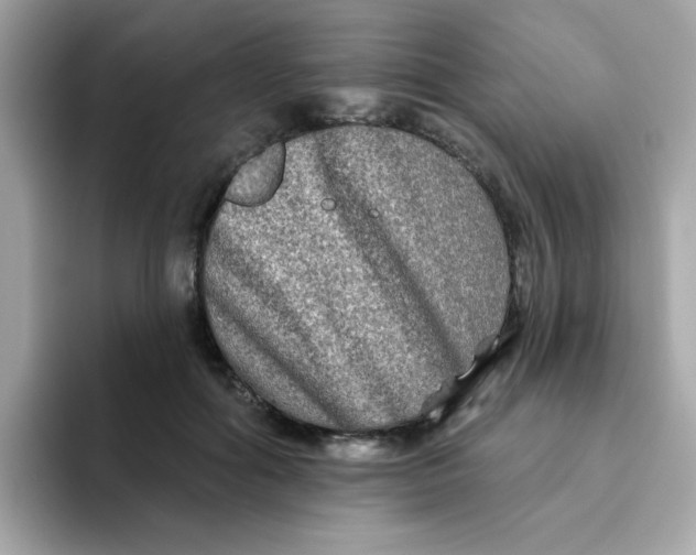 X0000094790602200711301608