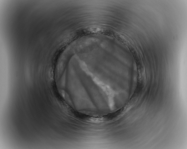 X0000094790606200711301608