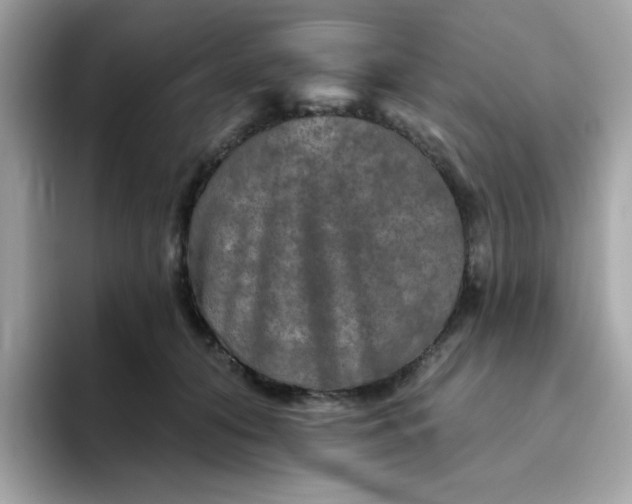 X0000094790608200711301607