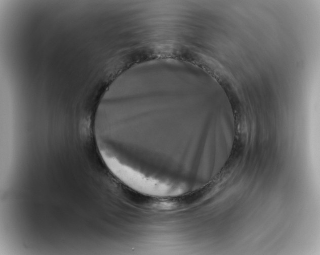 X0000094790610200711301607