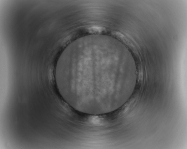 X0000094790616200711301607