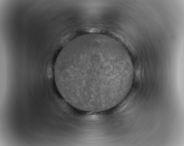 X0000094790620200711301607