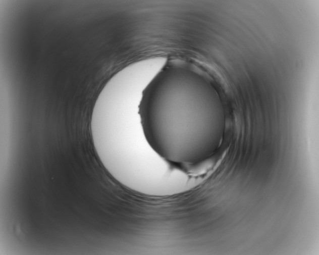 X0000094790621200711301607