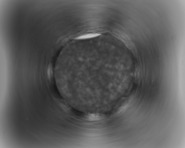 X0000094790623200711301607